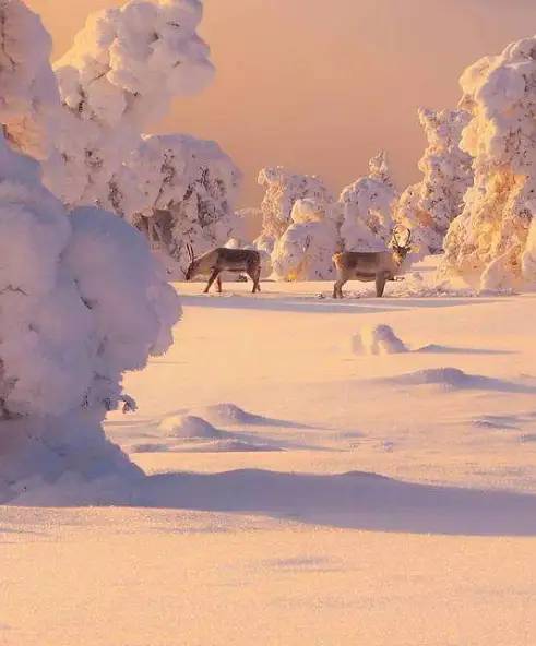 冬愈暮 年愈近，十二首冬暮的诗词，写尽了冬天的诗情画意