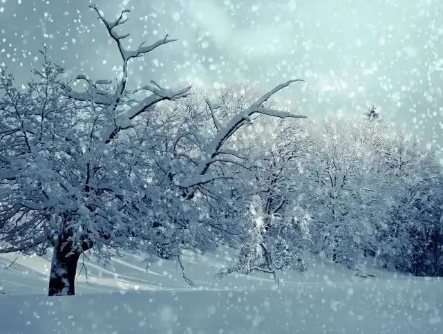 诗词里的100个冬天，那么冷，那么美