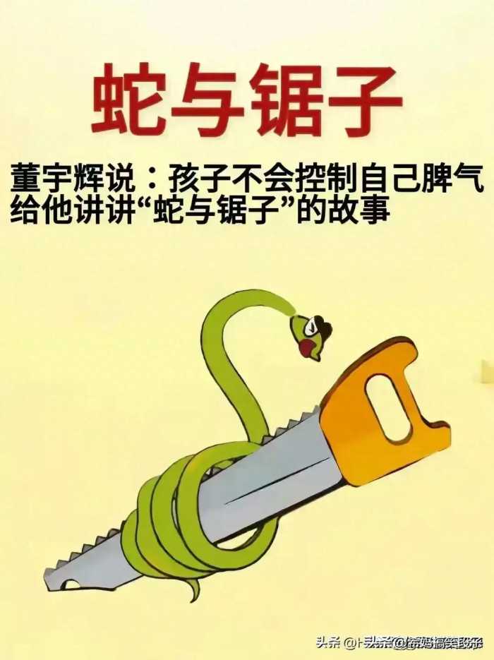 董宇辉：当孩子不懂控制自己的脾气，给他讲“蛇与锯子”的故事