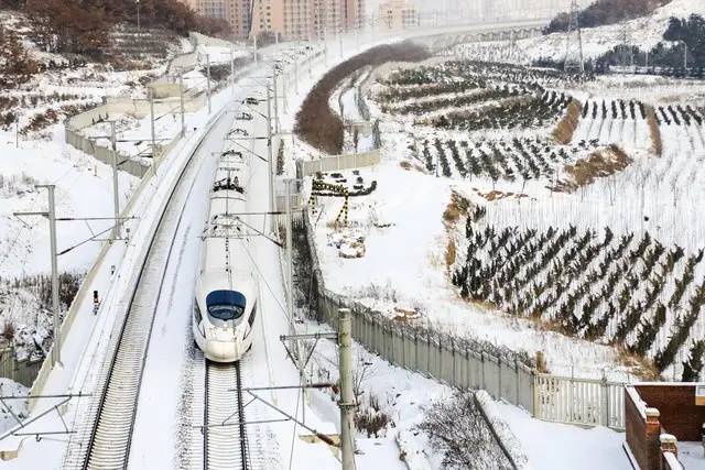 08年一场大雪，让我国疯狂建高铁！今年大雪，却是绿皮火车主场？