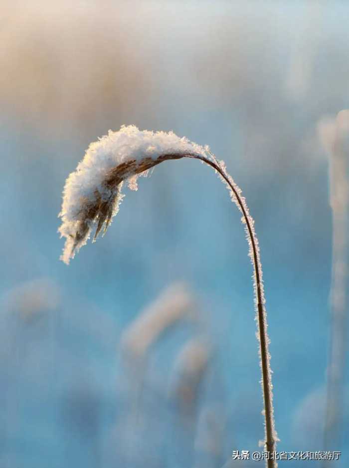 10首绝美立冬古诗，一起邂逅初冬美景。