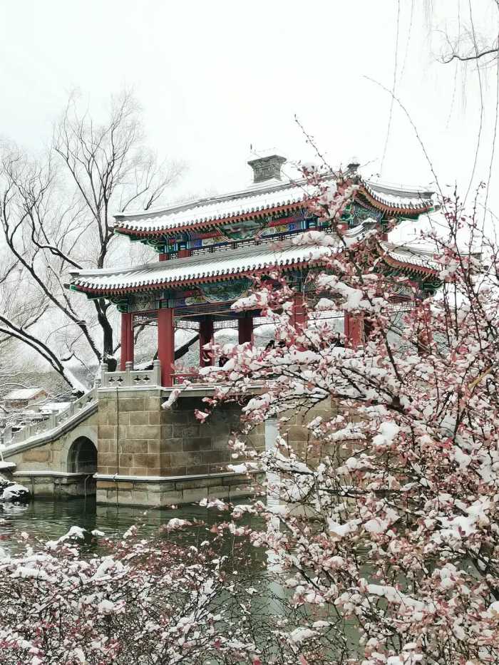颐和园：一场初雪银装素裹，雪中皇家园林之美，摄影人的美拍作品