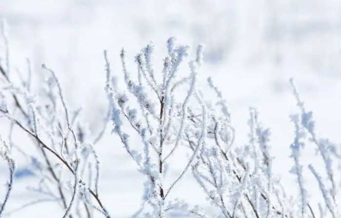 10首冬雪诗词，江天暮雪，落尽琼花，浪漫了整个冬天