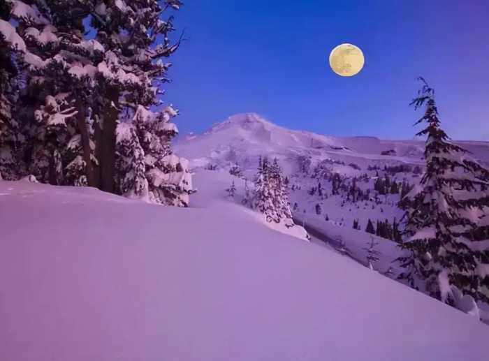 大雪拥蓬户 寒梦不成归，十五首雪夜的诗词，欣赏童话般美好的雪夜