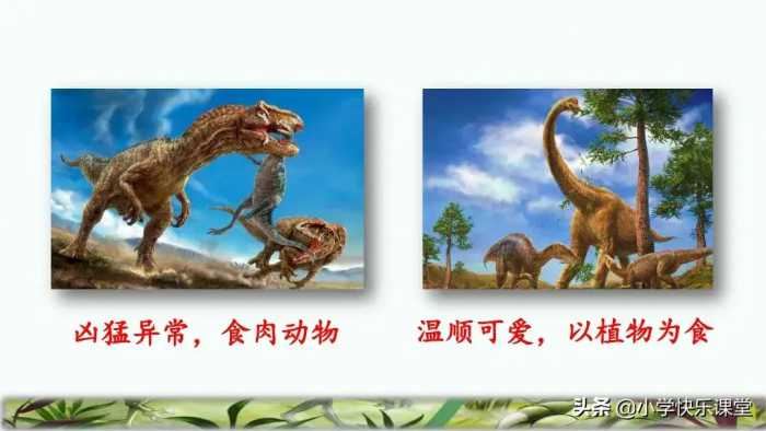 小学部编版四年级下册6课《飞向蓝天的恐龙》知识点、图文解读