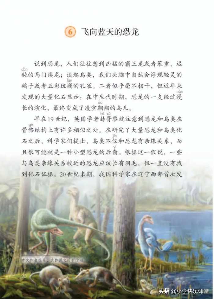 小学部编版四年级下册6课《飞向蓝天的恐龙》知识点、图文解读